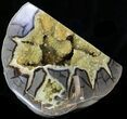Calcite Crystal Filled Septarian Geode - Utah #33125-2